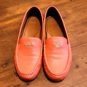 Coach Marely Drivers